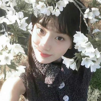 花圃里的蝴蝶海报